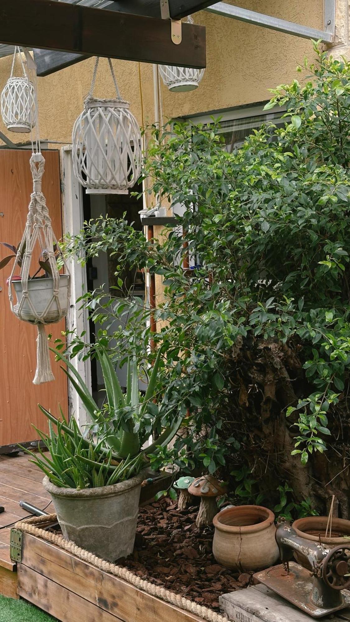 Dream House Art Hostel Garden And Terrace Хайфа Экстерьер фото